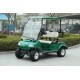 Electric Utility Car Del3022g, 2-Seater Green