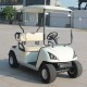 China Marshell Produce Electric Golf Car with 2 Seats (DG-C2)