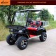 2 Seats Electric Transport Golf Cart with Cargo Box