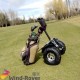 Wind Rover Single Seat Golf Car Self Balance Electric Car 2 Wheels Golf Cart