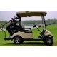 China Hot Selling 2 Seats 48V Trojan Battery Multi-Function Electric Club Car Golf Cart for Sale